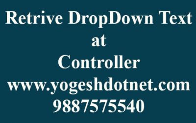 How to get DropDownList selected Text in MVC controller | code first