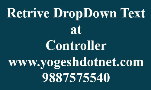 How to get DropDownList selected Text in MVC controller | code first