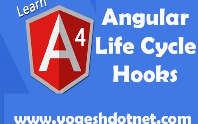 angular life cycle hooks