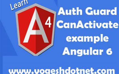 Auth Guard in Angular 7 Login Example